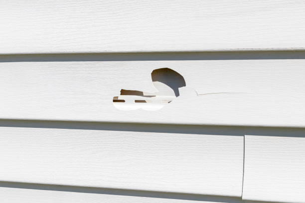 Best Insulated Siding Installation  in Ellsworth, KS